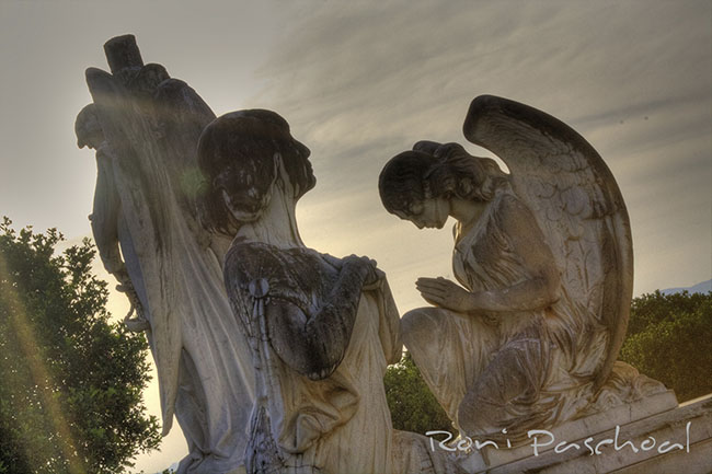 Angel Touch